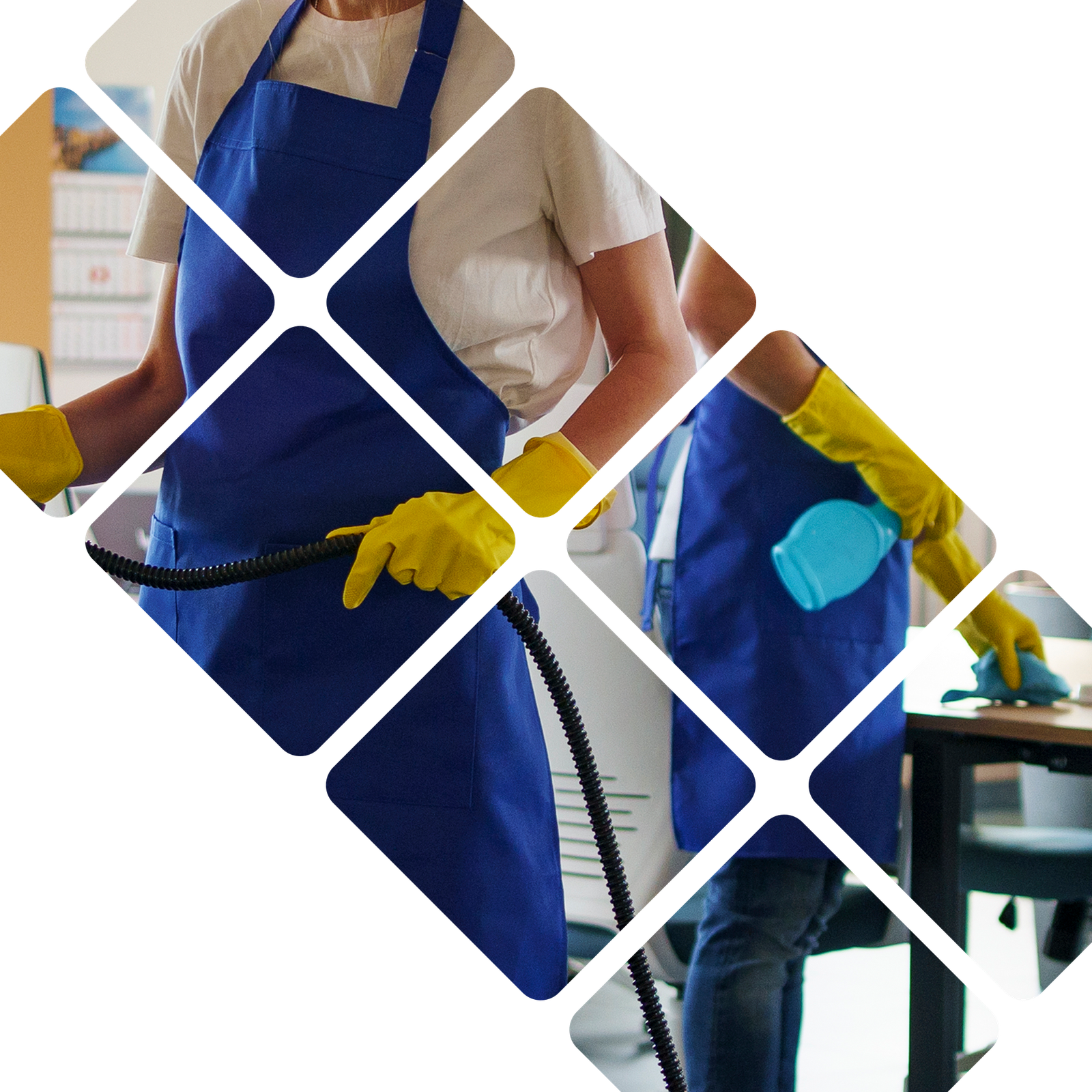 Kleensol Halitor Home